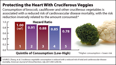 August 2011 Graph